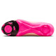 Nike Phantom Luna 2 Academy FG/MG